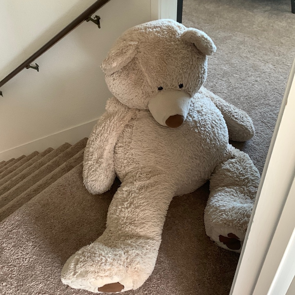 giant bear